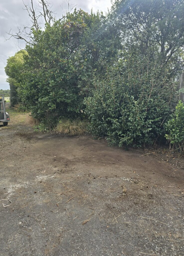 Cleared outdoor area after rubbish removal in Manawatū